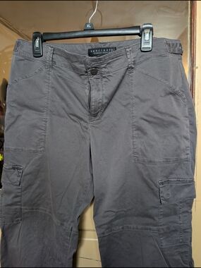 Sanctuary Gray Standard Surplus Cargo Pants - Plus Size XXL
